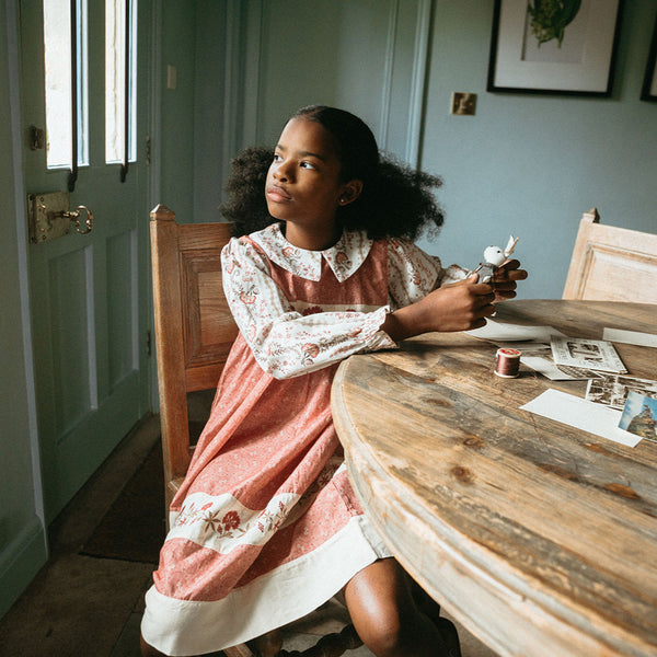 LOLA DRESS, DUSTY CEDAR/FALL VINE PRINT/OLD ROSE