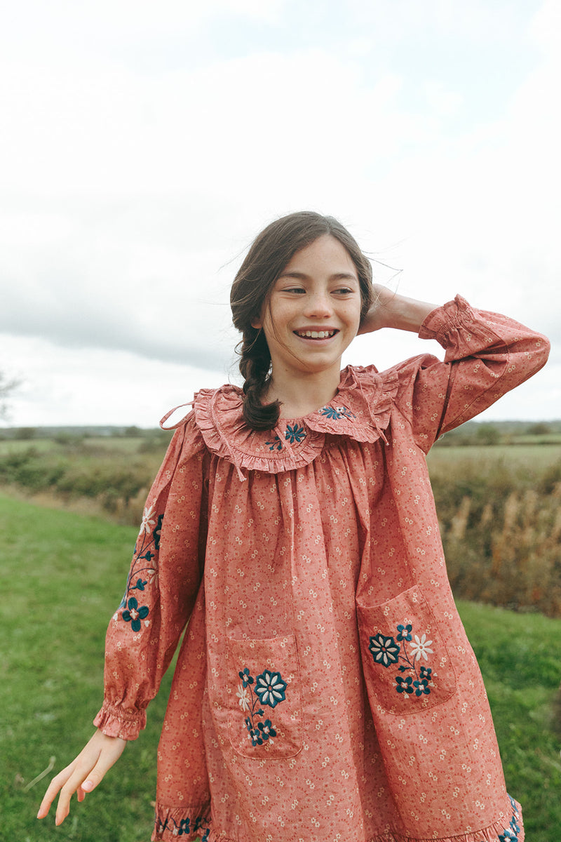 BELLE DRESS, OLD ROSE